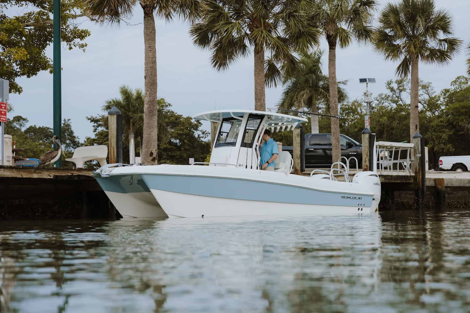 World Cat 235TE Center Console