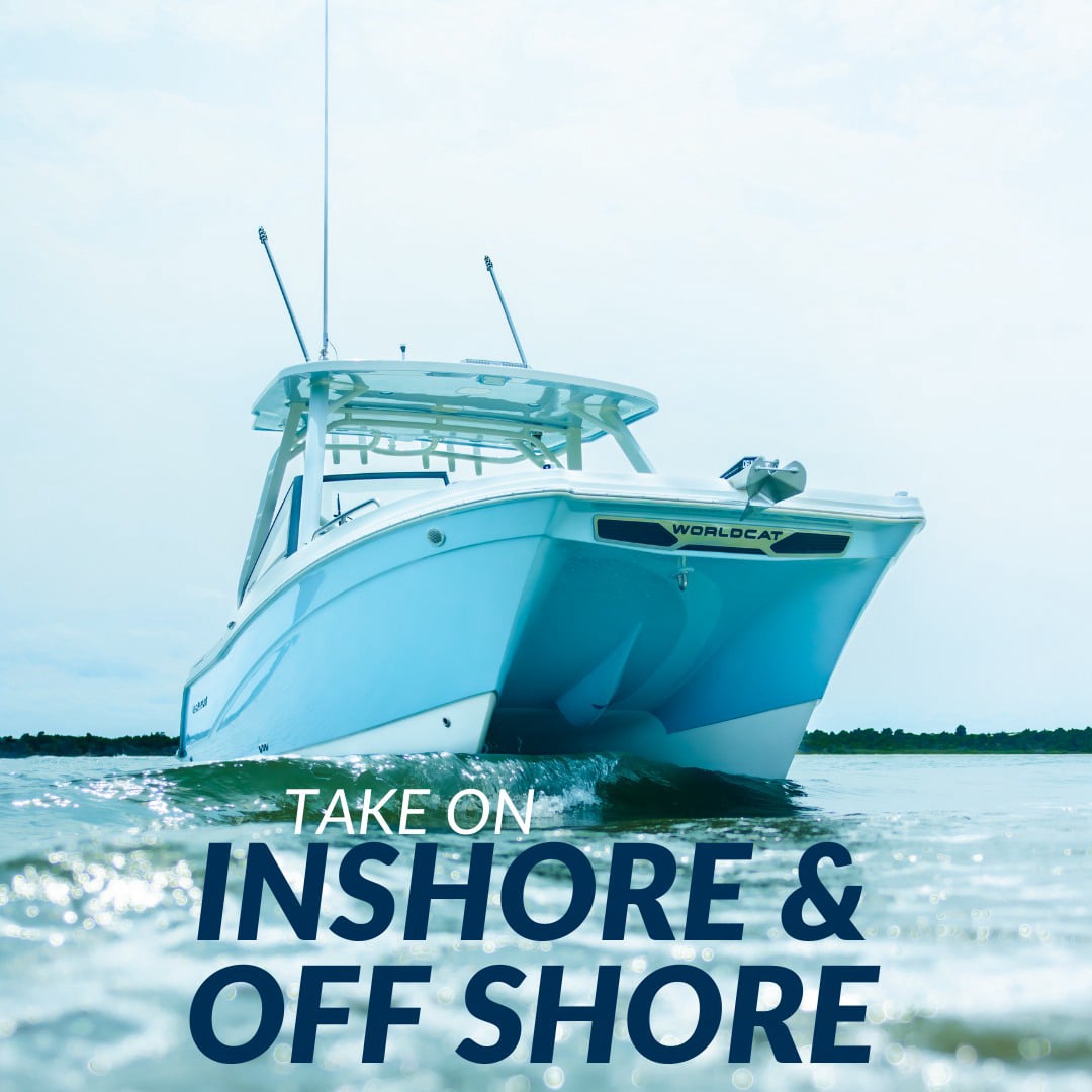 World Cat 260DC X Offshore