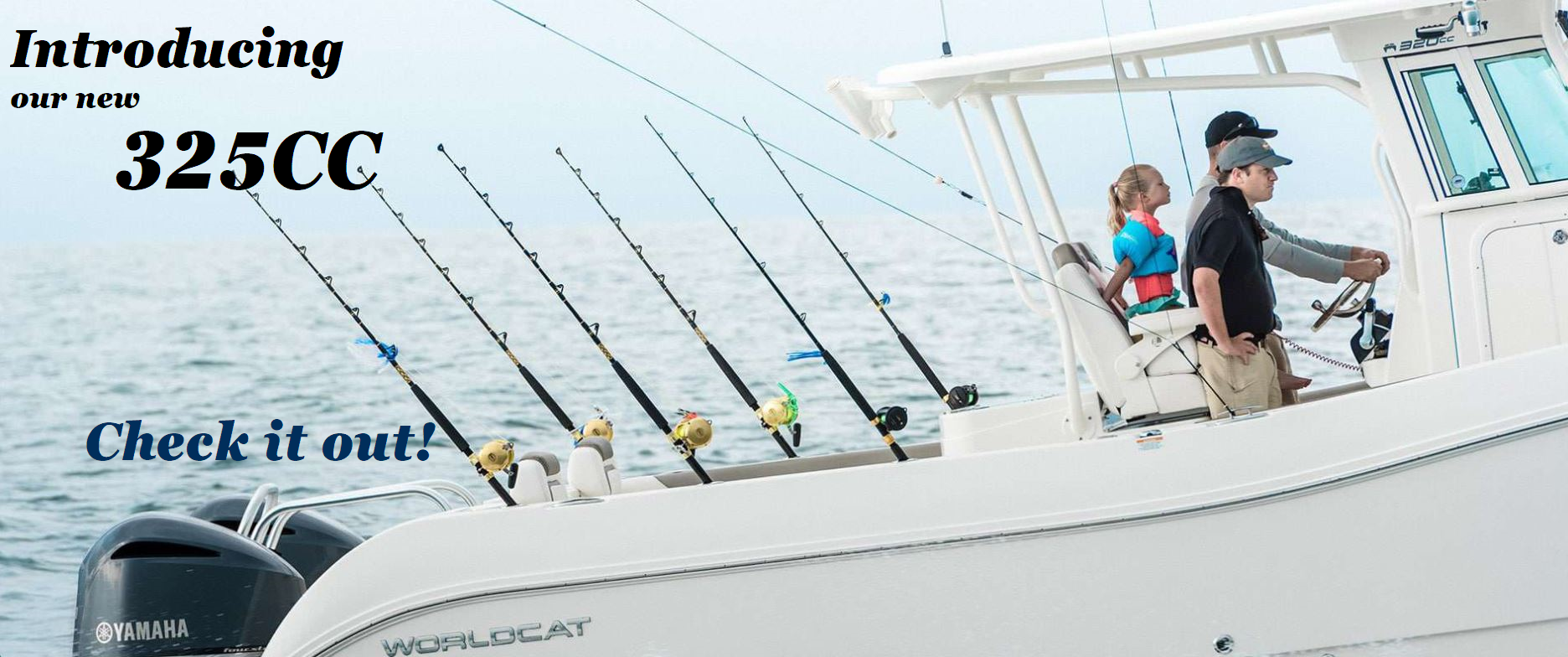 World Cat 325CC - Catamaran Fishing Boat